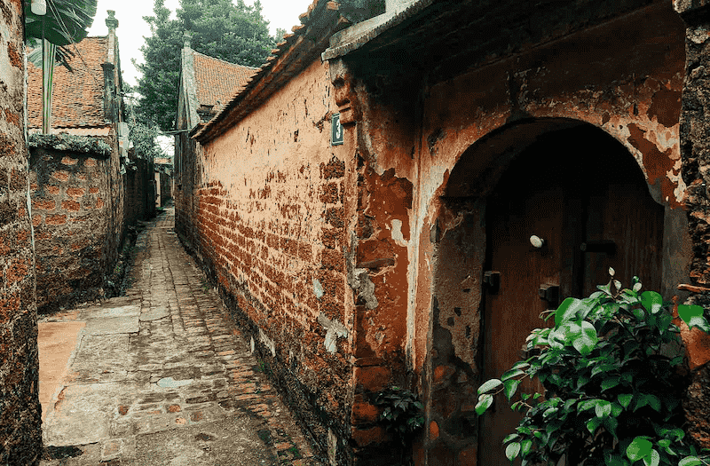 Khám phá văn hóa 🎭